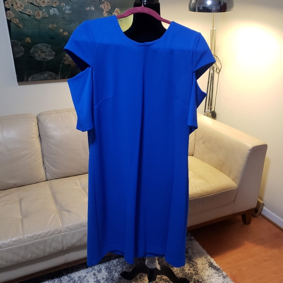 Calvin Klein Dresses & Skirts - Calvin Klein Cut Out Sleeve Shift Dress